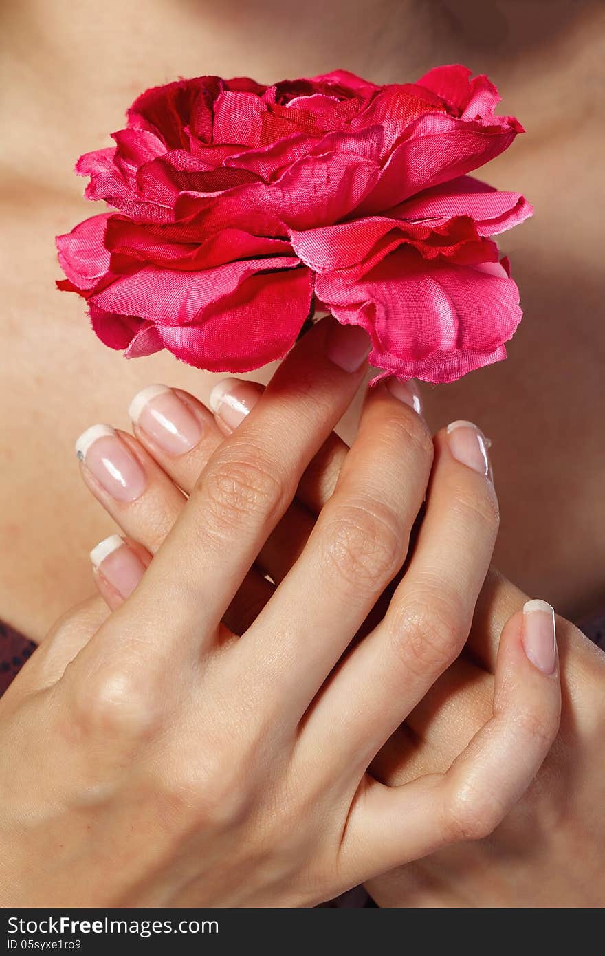 Beautiful female hands with manicure holding rose flower. Beautiful female hands with manicure holding rose flower