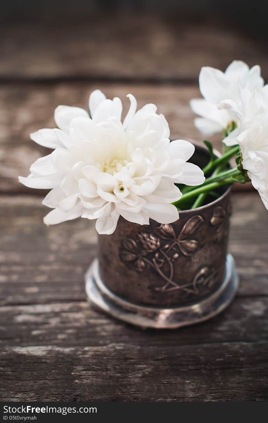 White Flowers Chrysanthemum in the bowl