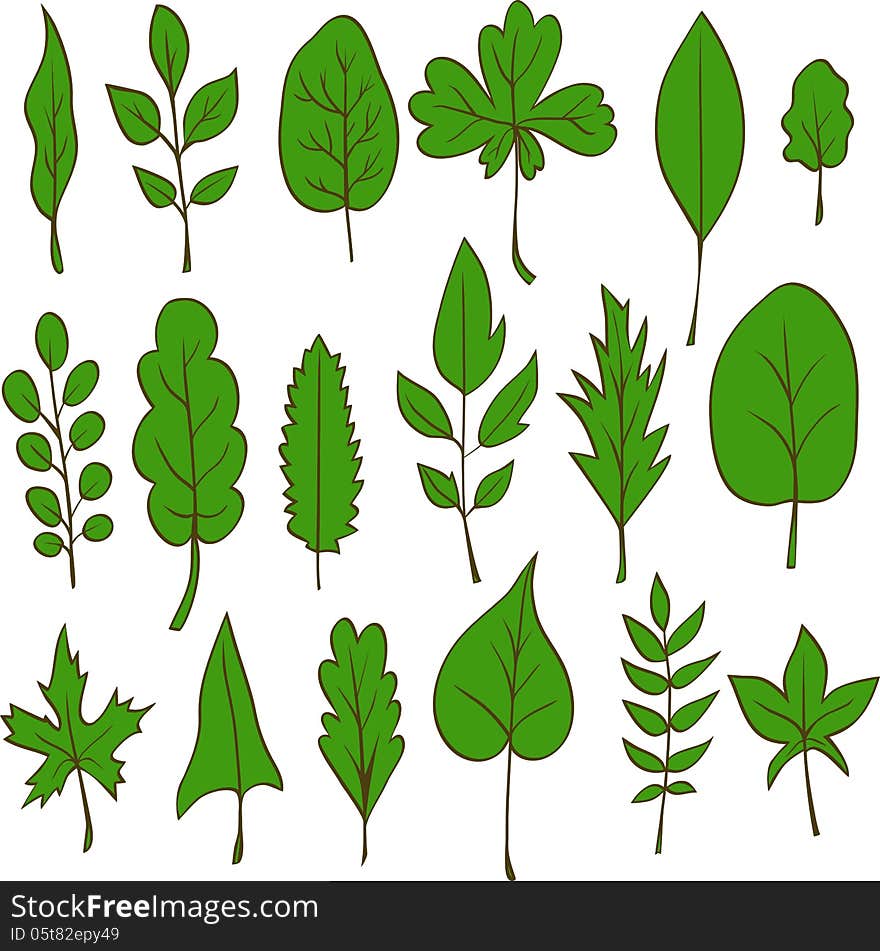 Set of vector leaves