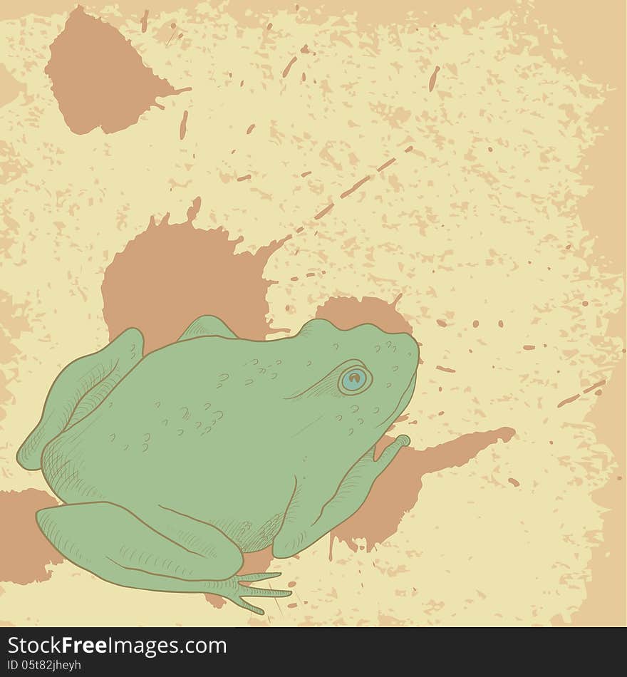 Line Drawing Frog On Vintage Background With Spots