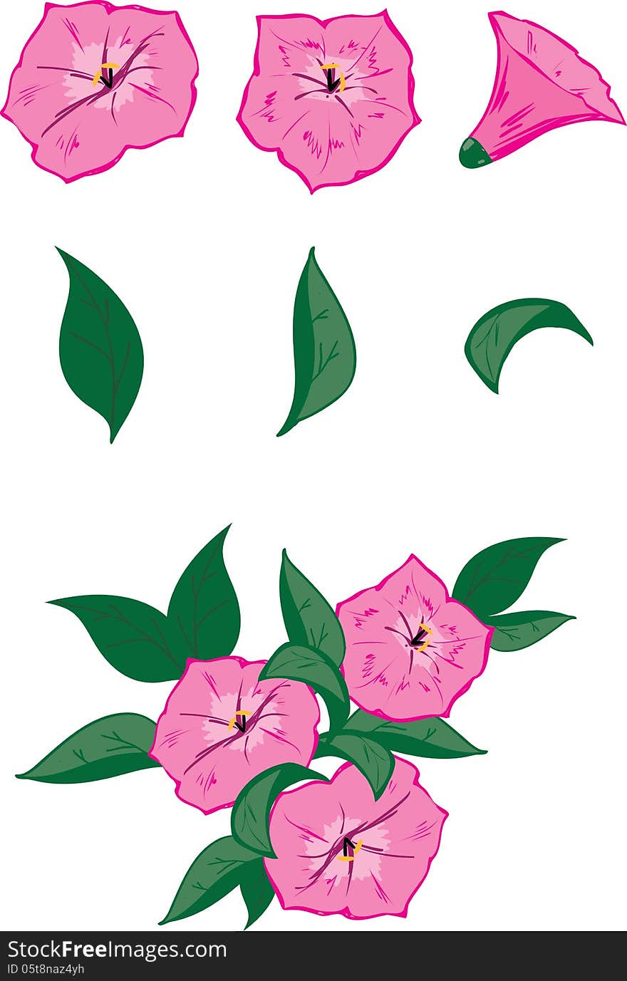 Vector objects for drawing up own flower compositions: 3 pink flowers of a petunia and 3 leaves. And also an example of possible composition. Vector objects for drawing up own flower compositions: 3 pink flowers of a petunia and 3 leaves. And also an example of possible composition.