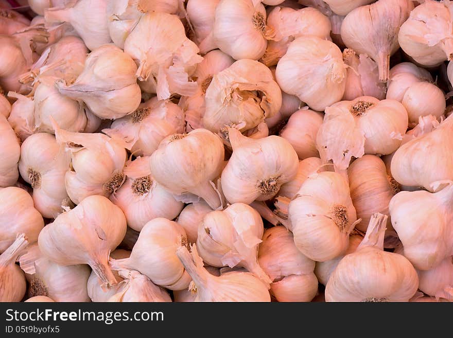 Garlic