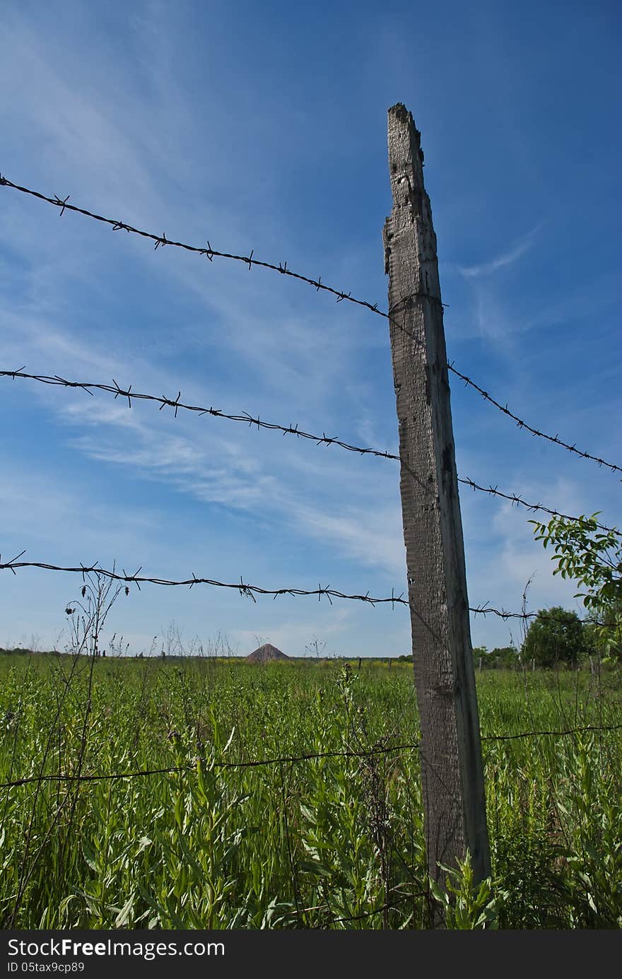 Barbed wire fence against a background of green meadow