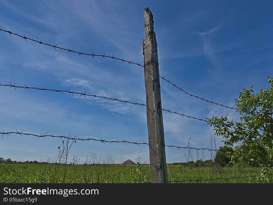 Barbed wire fence against a background of green meadow