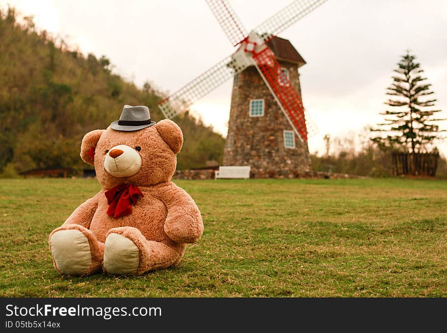 Teddy bear