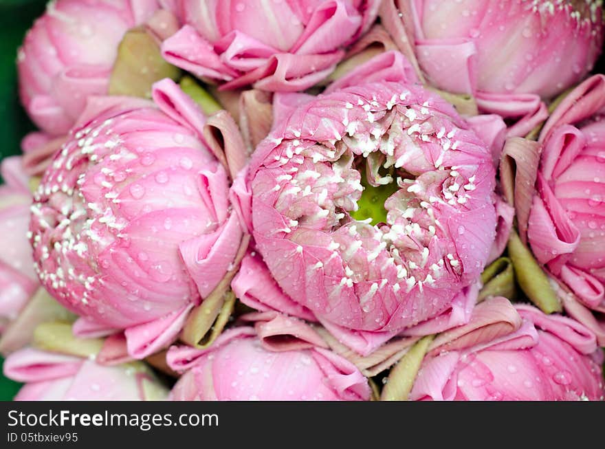 The art of folding lotus for worship