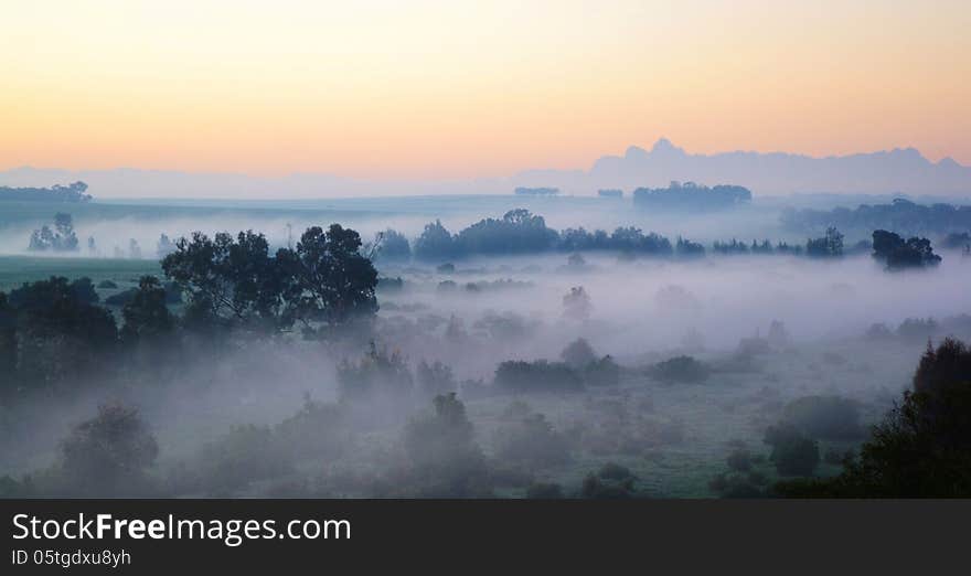 Morning Fog..