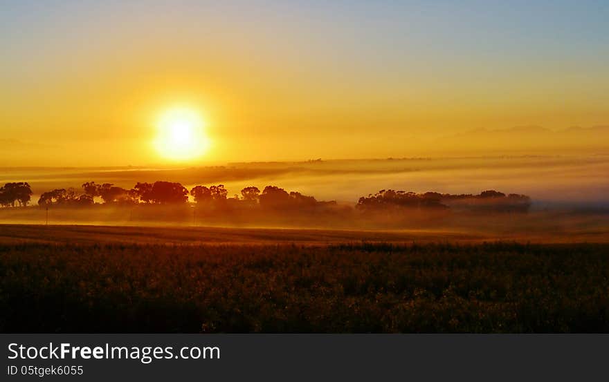 Landscape with trees and fog at sunrise. Landscape with trees and fog at sunrise