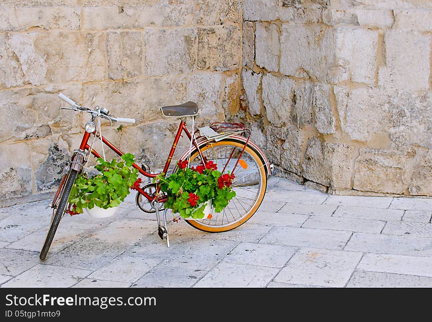 Red bike with geranium flowers. Red bike with geranium flowers.