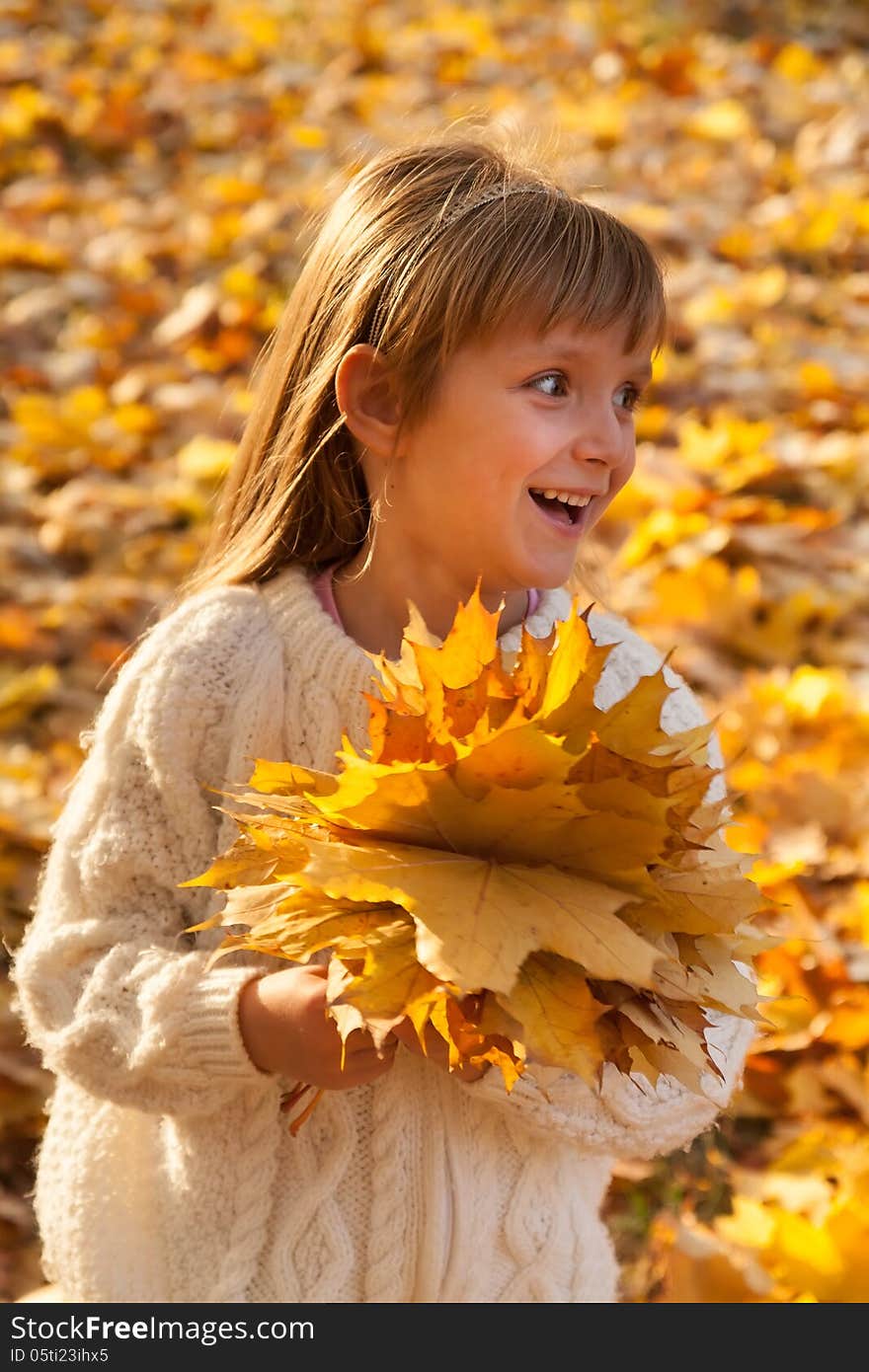 little girl with autumn leaves