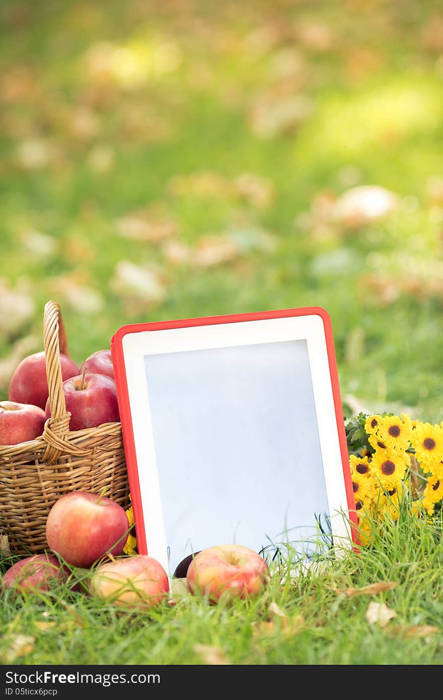 Basket of red apples and tablet PC on grass in autumn park