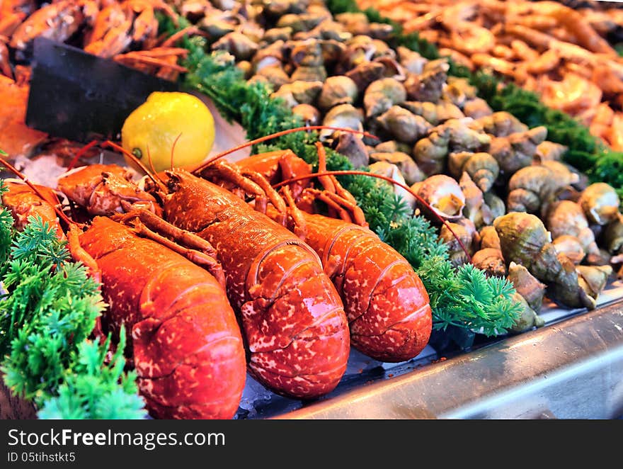 Show-window of seafood