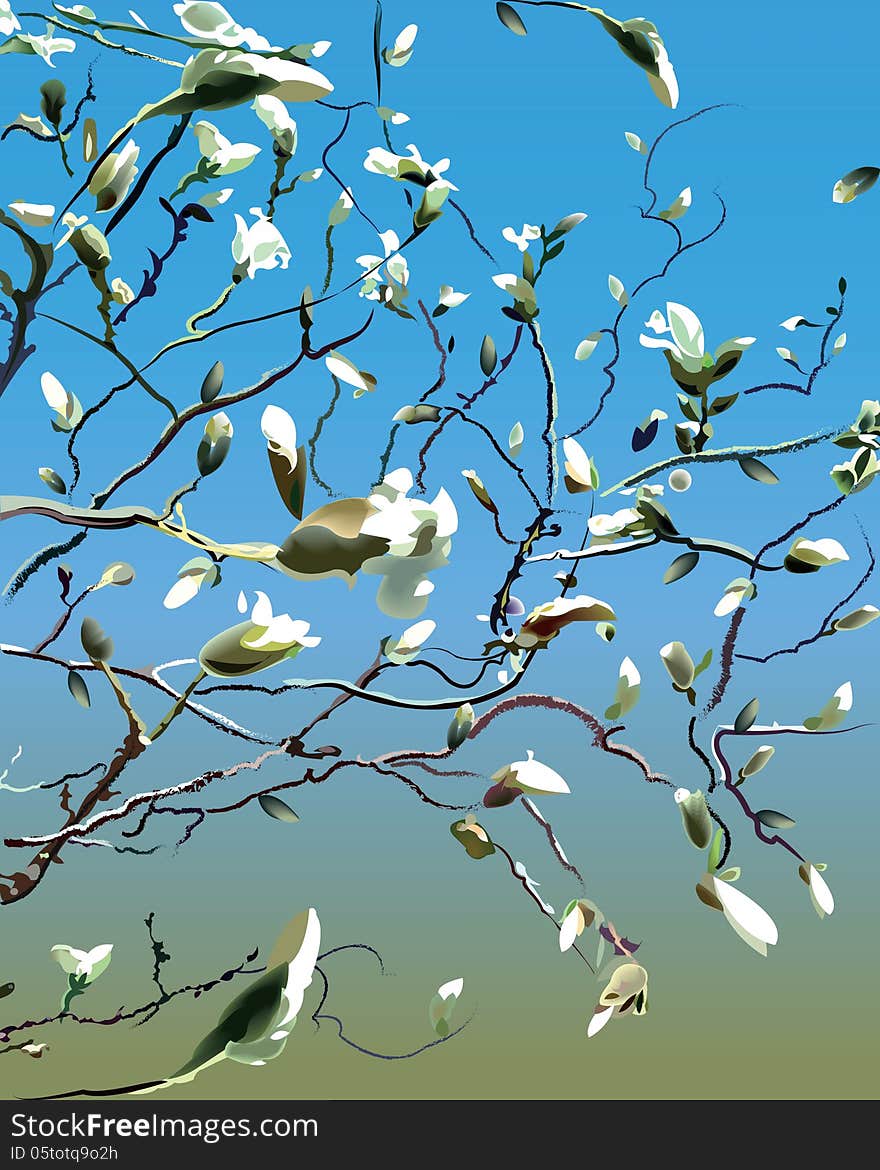 Branches with white magnolias against bright blue sky