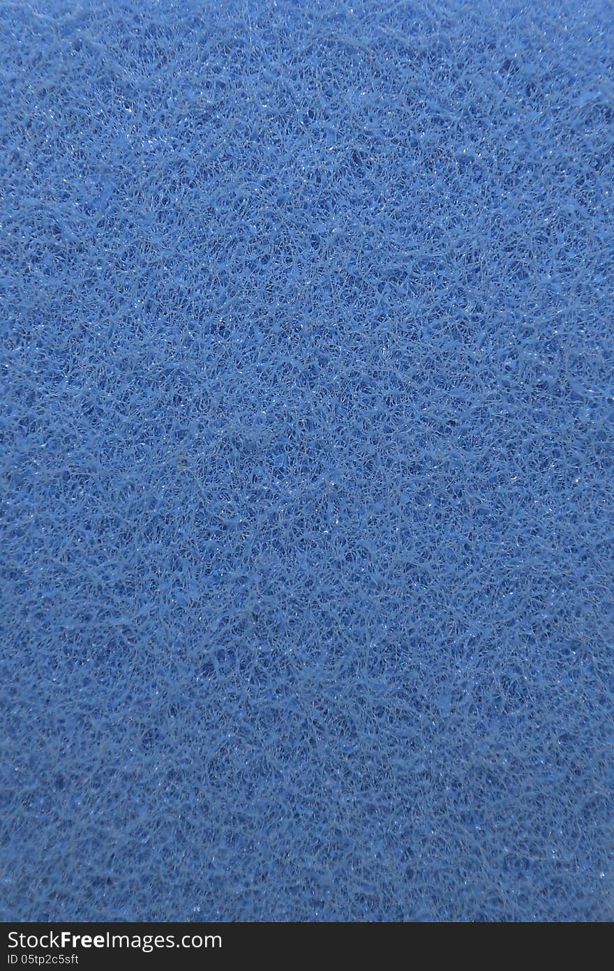 Close-up of blue sponge. Close-up of blue sponge.