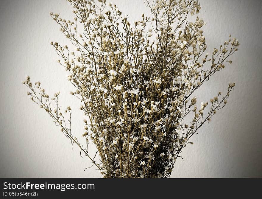 Dried bouquet of white flowers