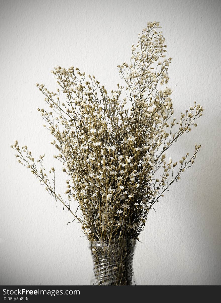 Dried bouquet of white flowers in vase