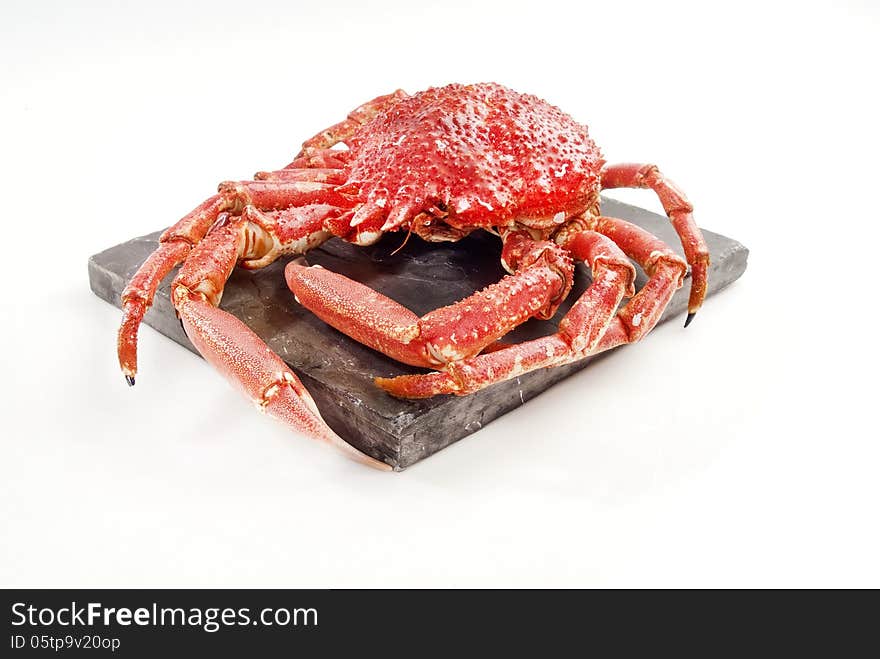 Wild red crab on grey slate