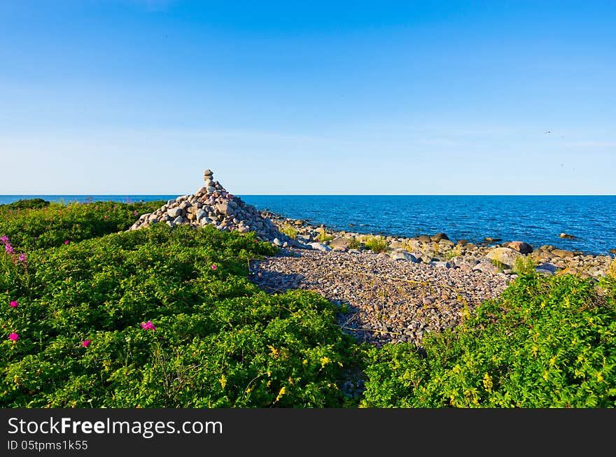 Coast of the Baltic sea. Coast of the Baltic sea.