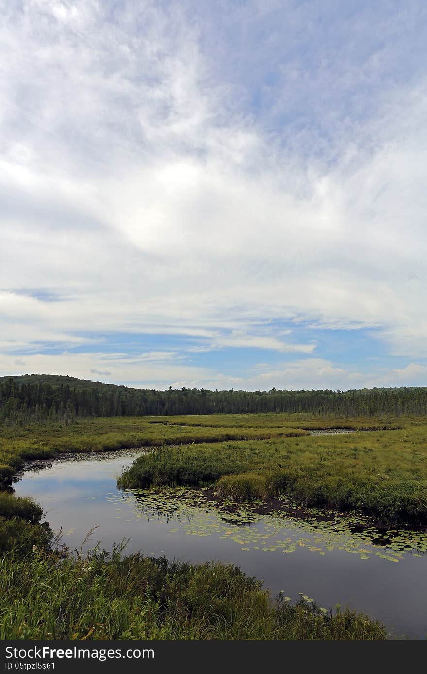 Spruce Bog Boardwalk trail in Algonquin Park