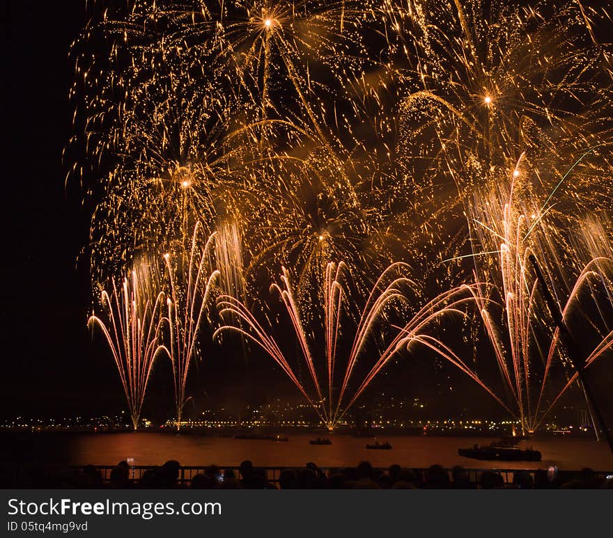 A firework at a music festival at geneva