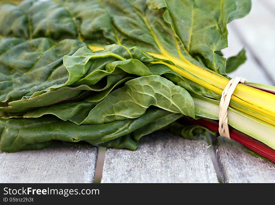 Rainbow Chard