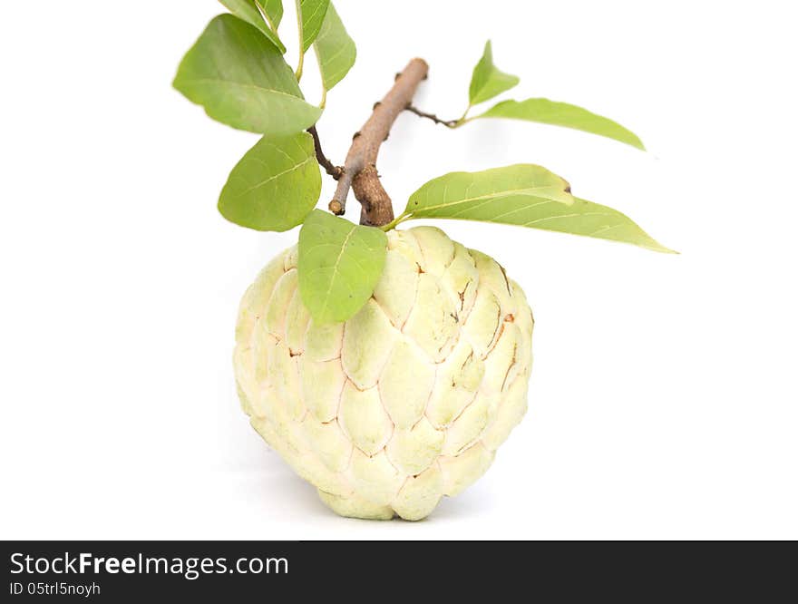 Sugar Apple on white background