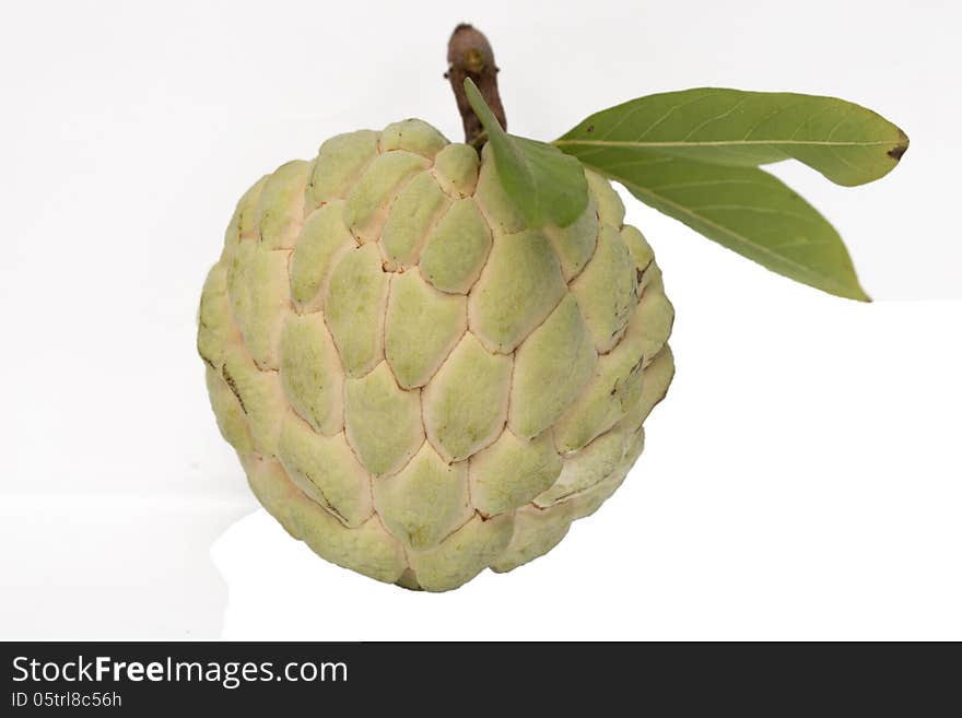 Sugar Apple on white background