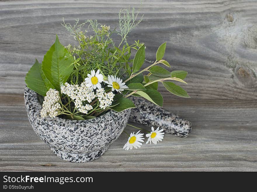 Medicinal herbs in stone mortar on old wooden board
