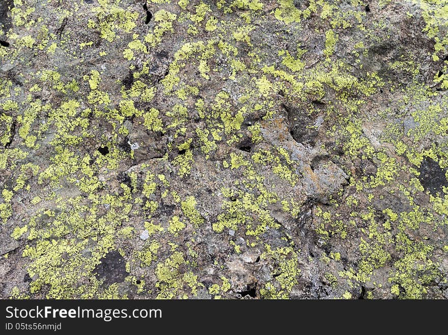 Background texture of stone with moss