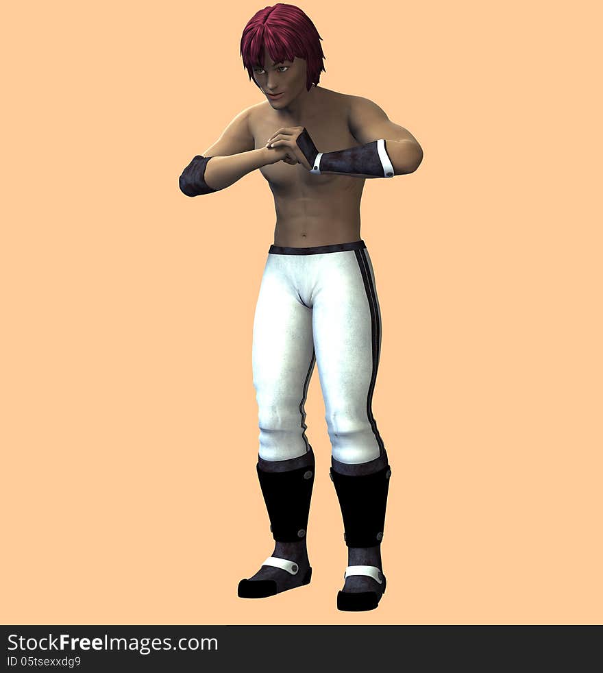 Anime Boy Fighter