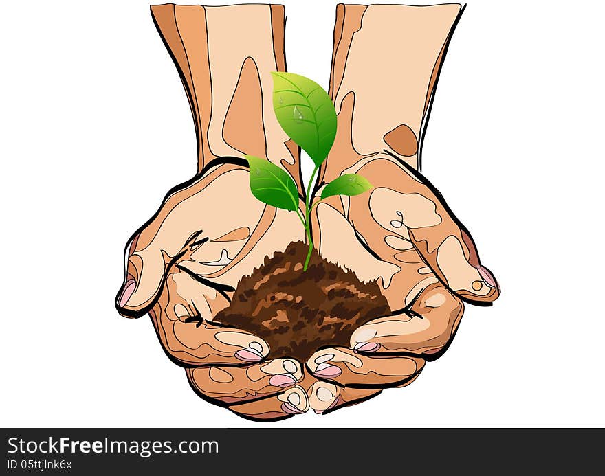 Green sprout in the hands of a man