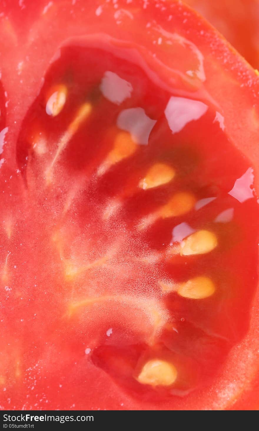 Half slice of tomato close up isolated on the white background