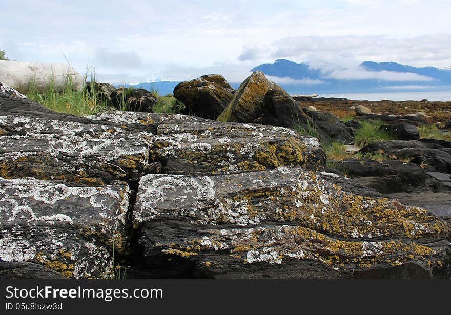 Alaska Island Coastal Landscape