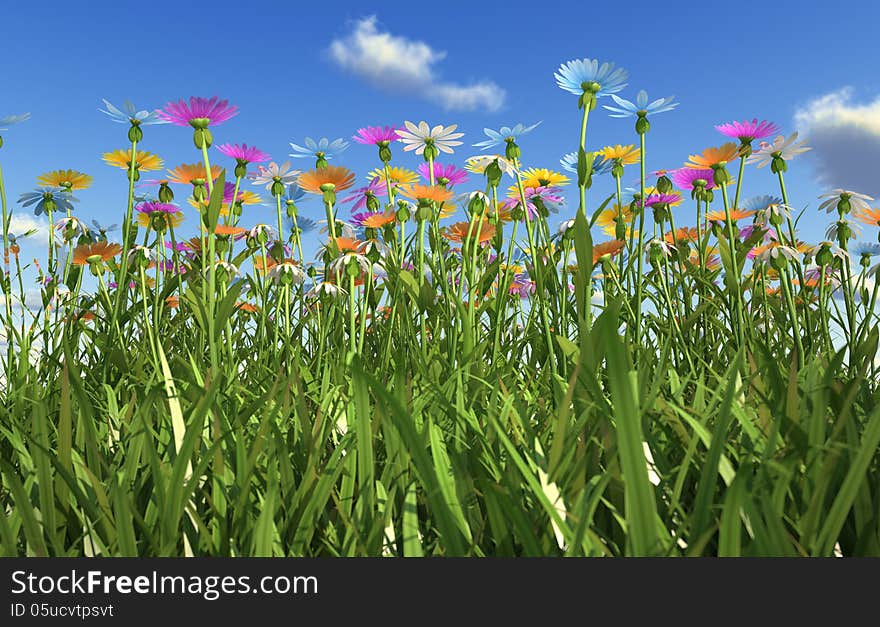 Flowers of different colors, in a grass field.