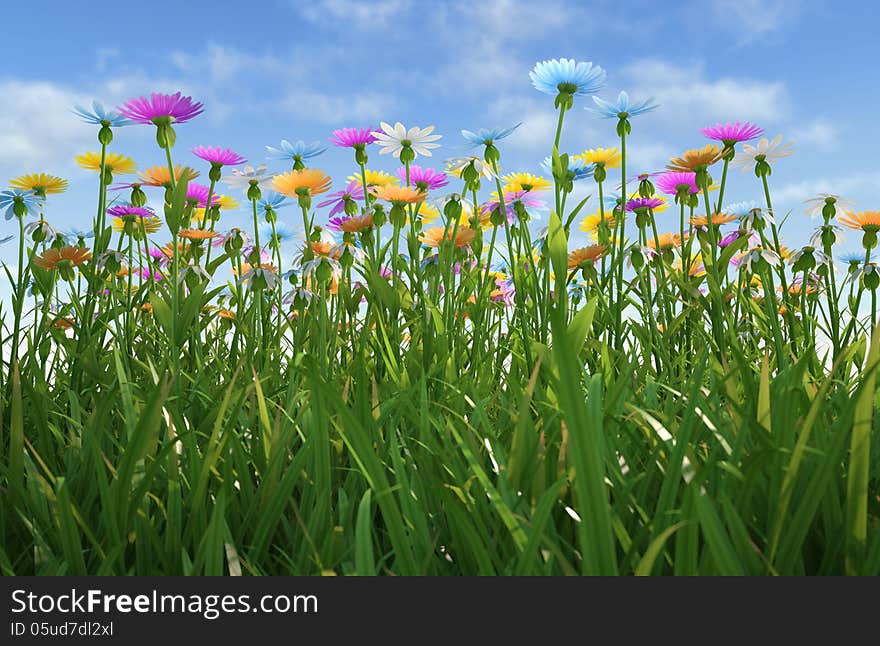 Flowers Of Different Colors, In A Grass Field.