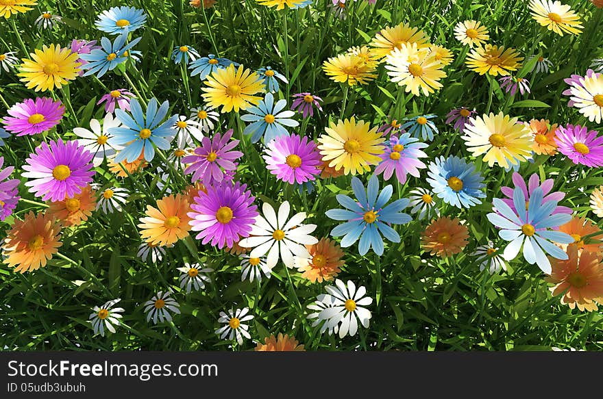 Flowers of different colors, in a grass field.