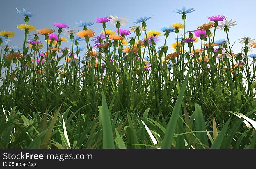 Close up view of a grass filed, plenty of multicolored flowers, viewed from a side with close grass. Close up view of a grass filed, plenty of multicolored flowers, viewed from a side with close grass.