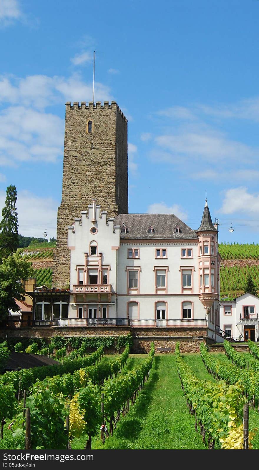 Wine chateau and tower Rudesheim Rhein Germany. Wine chateau and tower Rudesheim Rhein Germany