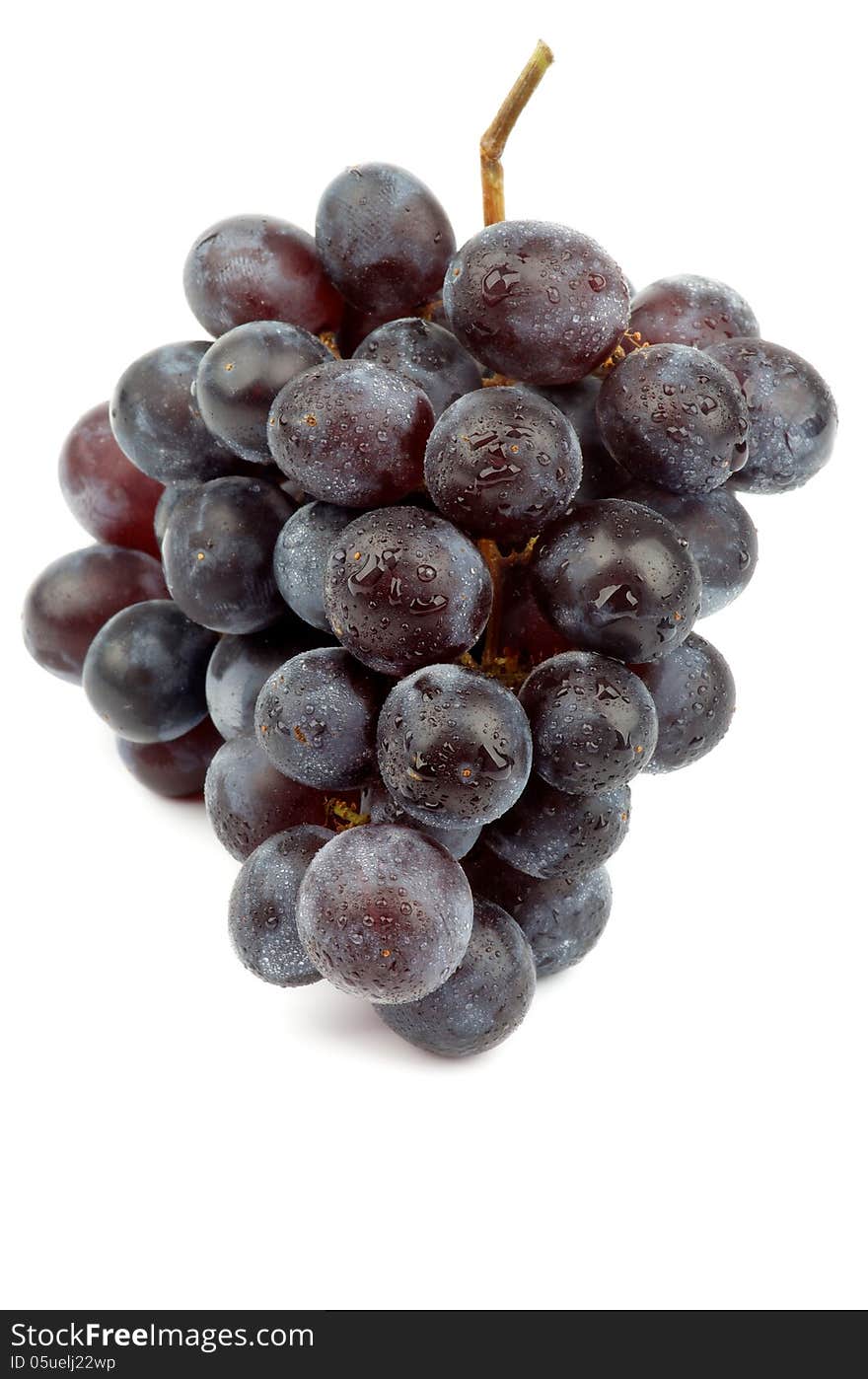 Bunch of Ripe Dark Red Grape with Water Props isolated on white background