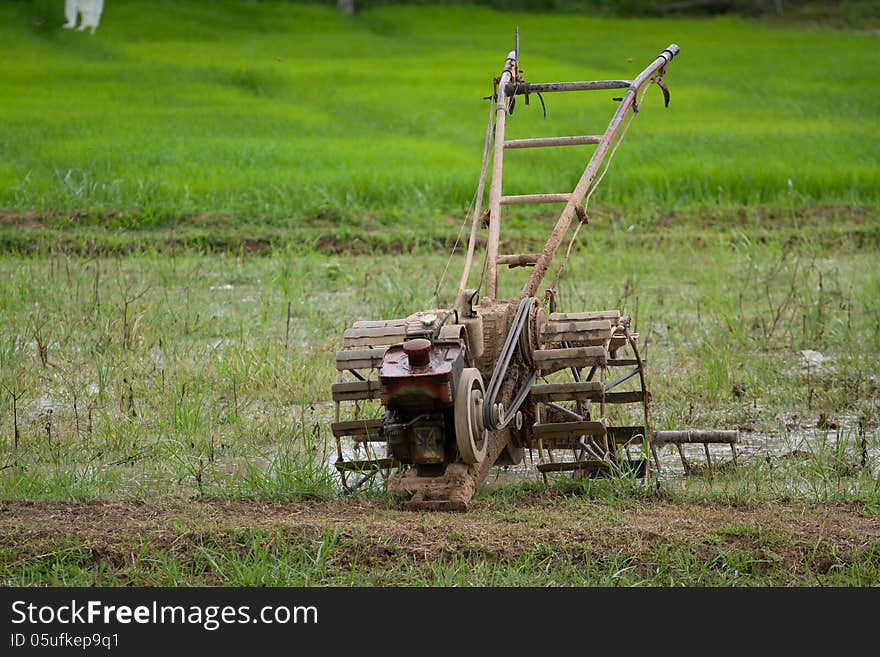 Thai peasant agriculture Farmers are working. Thai peasant agriculture Farmers are working