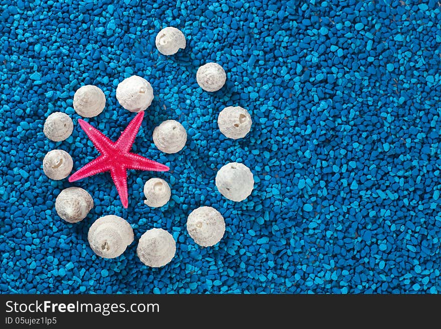 Starfish and seashells on blue background