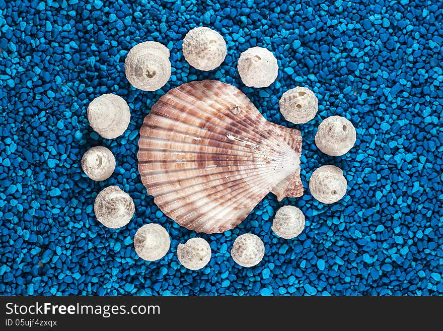 Oister and seashells aranged on blue background (blue sand)