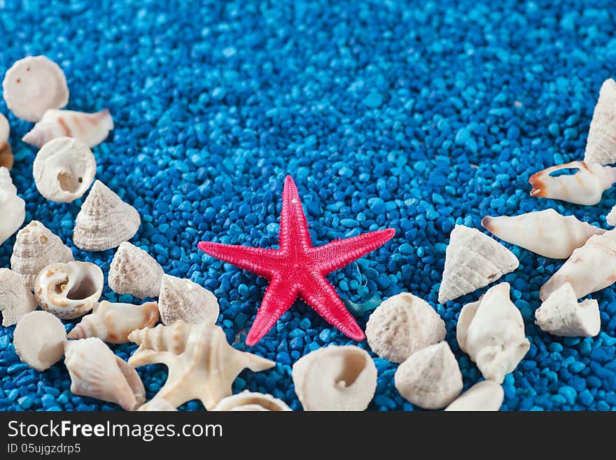 Star-fish and seashells on sand