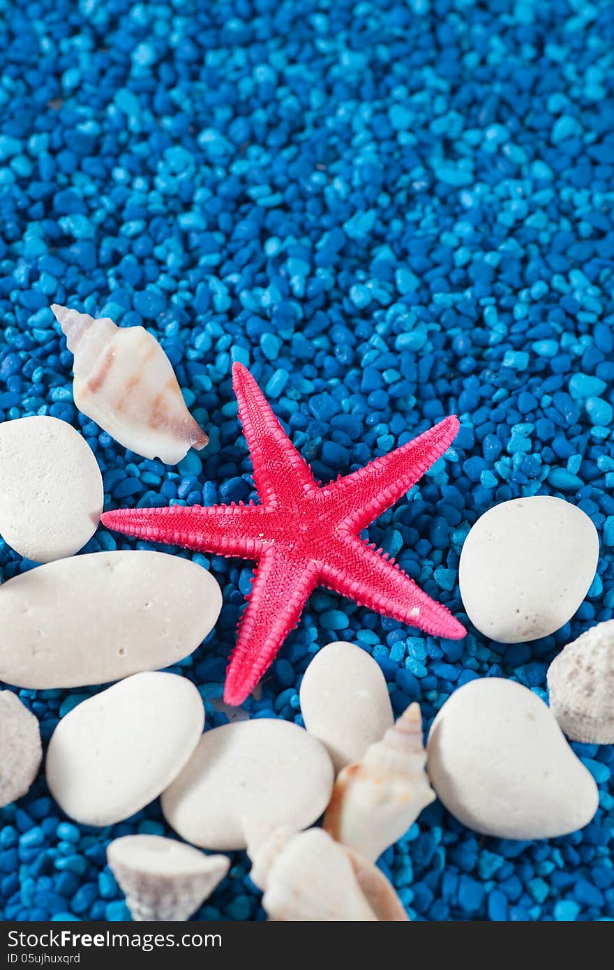 Starfish and seashell on blue sand like water, portrait vertical banner