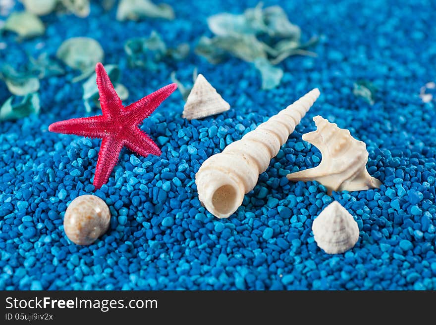 Starfish And Seashell On Blue Sand