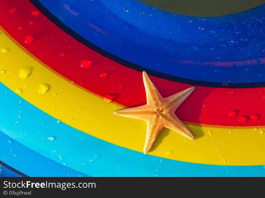 Starfish on a colorful background (red, blue and yellow colored stripes),Starfish on holiday water toy