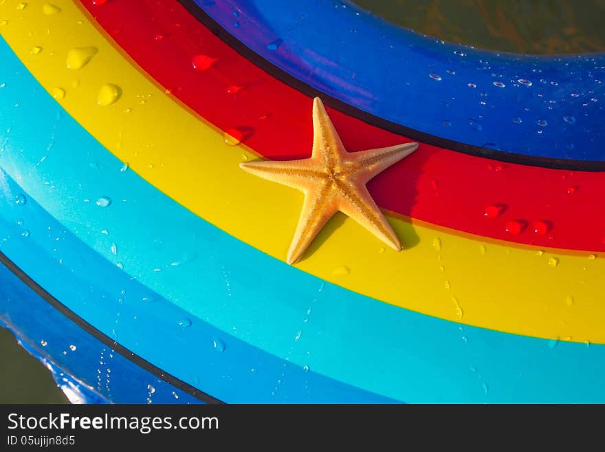 Starfish on a colorful background (red, blue and yellow colored stripes), Starfish on holiday water toy. Starfish on a colorful background (red, blue and yellow colored stripes), Starfish on holiday water toy