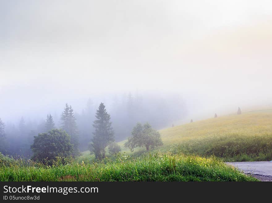 Road disappearing into the forest in fog. Road disappearing into the forest in fog