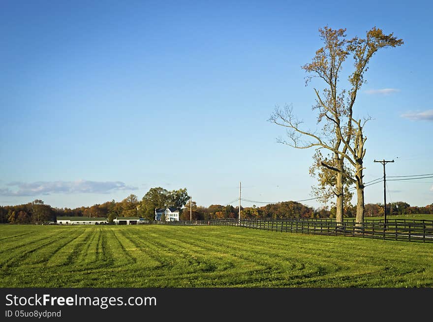 Rural Landscape