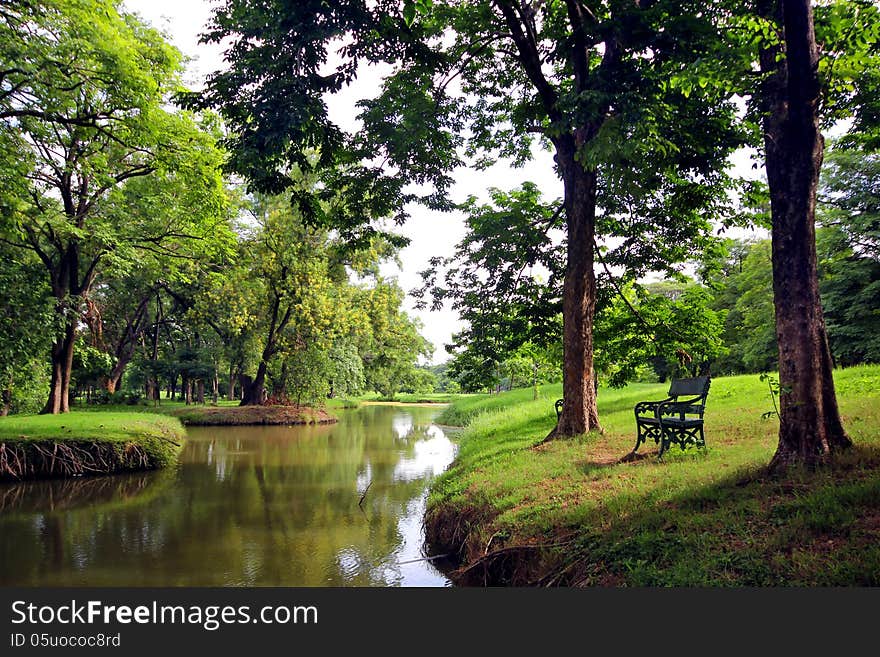 Bench in the park